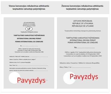 Tarptautinio vairuotojo pažymėjimo pavyzdžiai pagal Vienos ir Ženevos konvencijas