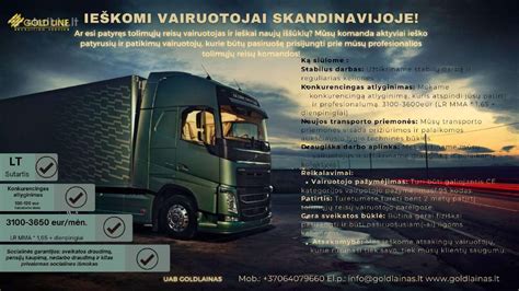 Infografika: Tolimųjų reisų vairuotojo karjeros privalumai