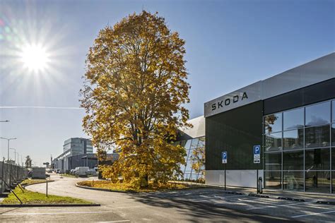 Tematinė nuotrauka: įvairios „Škoda“ automobilių dalys ir specialistų konsultacija