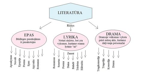 Schema, iliustruojanti pagrindines automobilių draudimo rūšis ir jų teikiamas apsaugas.