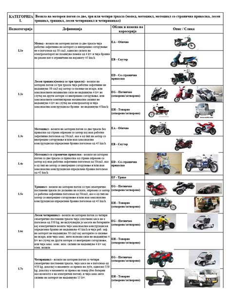 Infografika: M1 klasės automobilio apibrėžimas ir pavyzdžiai