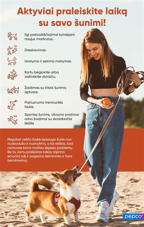 Patarimai, kaip prižiūrėti automobilio starterį infografika
