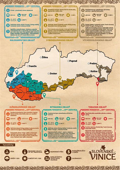 Infografika: VIN numerio struktūra ir reikšmė