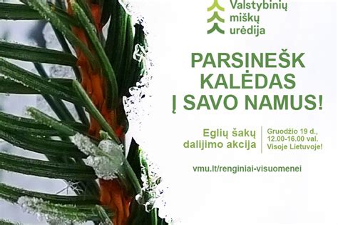 infografika, vaizduojanti skirtingas pramonės šakas ir joms tinkamus siurblių tipus