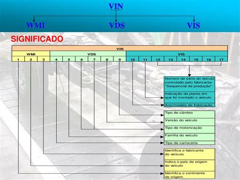 Schema, iliustruojanti VIN kodo struktūros padalijimą į tris pagrindines dalis: WMI, VDS ir VIS.