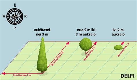 Schema, parodanti minimalius atstumus (5 m, 15 m, 50 m) iki draudžiamų zonų sankryžose ir perėjose.