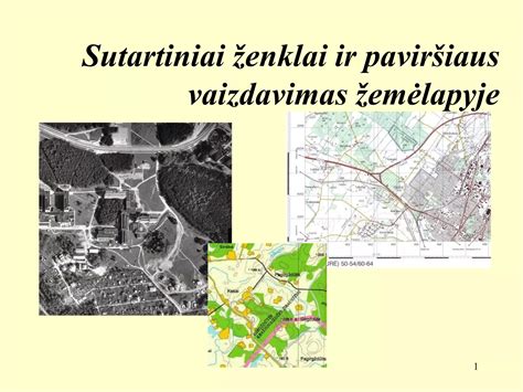 scheminis vairuotojo psichologinių savybių vaizdavimas