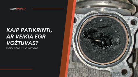 Infografika: kaip veikia termostatas ir EGR