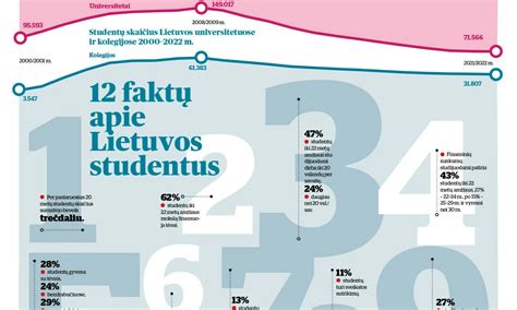Infografika apie skirtingų tipų Lietuvos valstybinius numerius (bendro naudojimo, taksi, istoriniai, laikinieji)