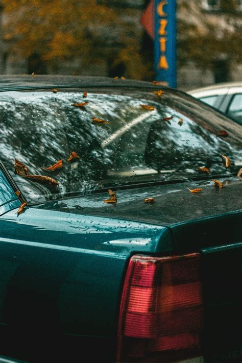 Tematinė nuotrauka: automobilio nuotraukų peržiūra kompiuteryje, ieškant ankstesnių pažeidimų