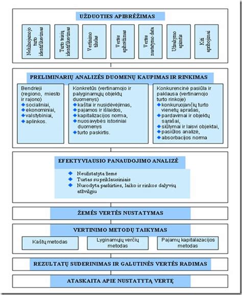Schema: profesionalaus automobilio vertinimo procesas