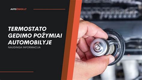 Variklio aušinimo sistemos termostato veikimo principas ir gedimo simptomai