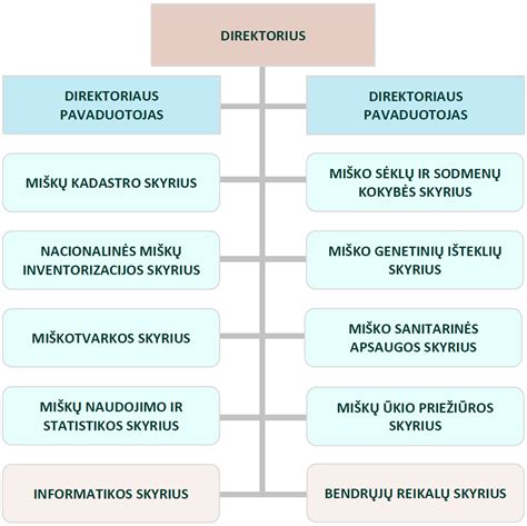 Struktūrinė schema: Automobilių sporto klubo įstatų dalys ir jų hierarchija