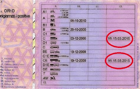 Vairuotojo pažymėjimas, 95 kodas, tachografas