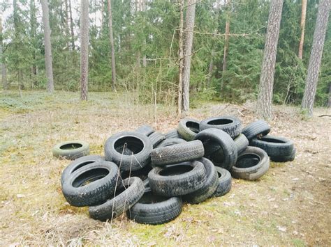 Tematinė nuotrauka: netvarkingai išmestos padangos miške