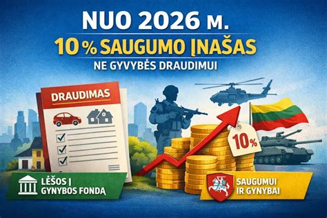 draudimo ir saugumo įvertinimas