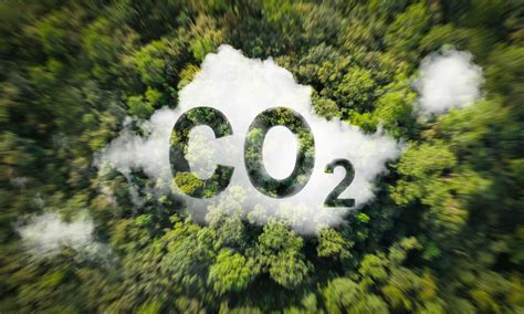 Infografika, iliustruojanti CO2 išmetimo normas ir atitinkamus įsigijimo kainos ribojimus.