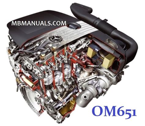 Infographics on common Mercedes-Benz W212 reliability issues, e.g., OM651 engine problems