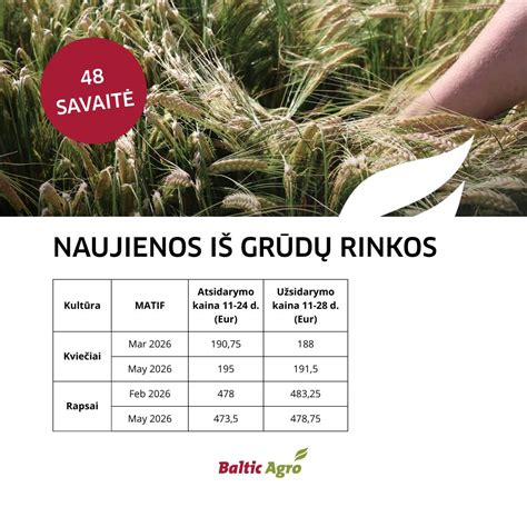 Infografika: Lenkijos priekabų pramonės augimo tendencijos ir eksporto kryptys
