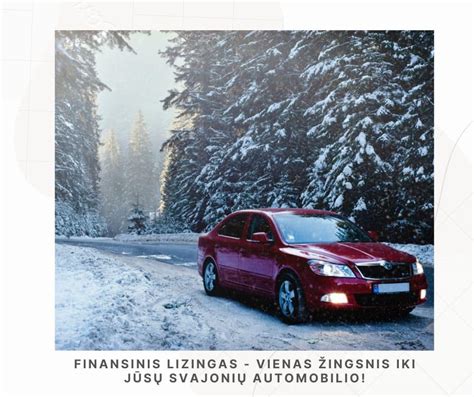 Infografika: Automobilio importo į Čekiją procesas