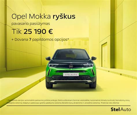 Stelauto automobilių salonų ir serviso paslaugų apžvalga