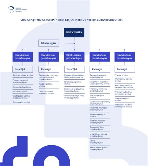 Sisteminė BVPŽ kodų struktūra ir hierarchinis paslaugų grupavimo principas