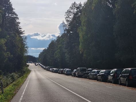 Autolaužyno aikštelės bendras vaizdas su įvairių markių automobiliais