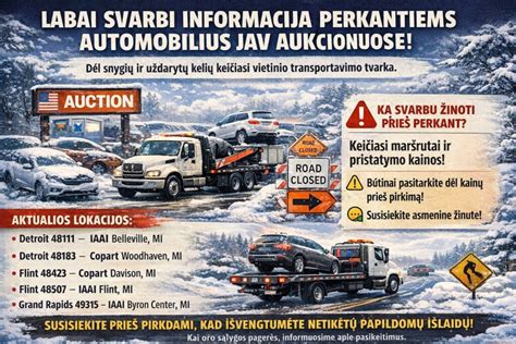 Infografika: Automobilių importo iš JAV evoliucija ir skaidrumo didėjimas