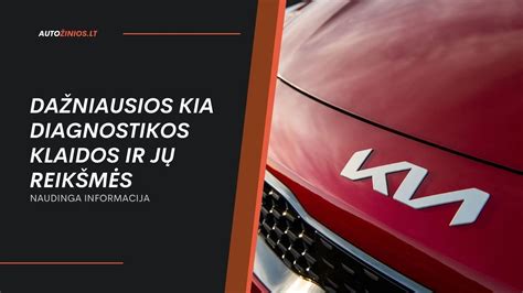 Infografika: dažniausios kritinės klaidos vairavimo egzamino aikštelėje ir jų procentinė išraiška
