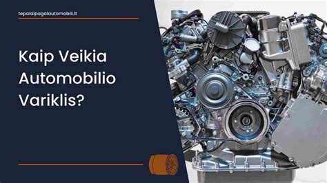 Infografika: Kaip veikia skirtingi variklio tipai (benzininiai, dyzeliniai, hibridiniai)