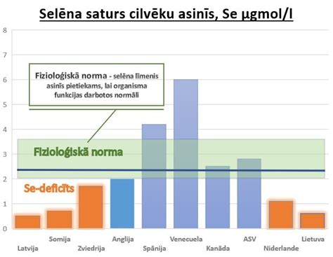 Schema, iliustruojanti SS.com skelbimų portalo populiarumą Latvijoje ir jo universalumą