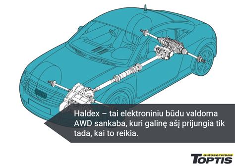 Schema: Kaip veikia franšizė ir kada ji taikoma