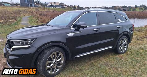 Kia Sorento visureigis važiuojantis keliu