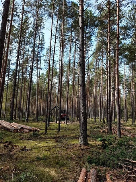 schema, paaiškinanti pagrindinius padangos šone nurodytus parametrus: plotį, aukštį, diametrą ir indeksus