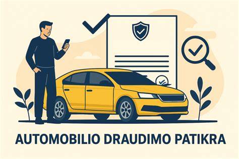 Kontrolės sistema: draudimo statuso patikra realiu laiku