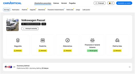 CarVertical tipo patikros pavyzdys