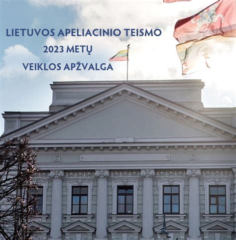 Lietuvos apeliacinio teismo sprendimo santrauka apie programinės įrangos pažeidimus