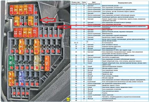 Tinklinė schema: Passat B6 priekinių žibintų išdėstymas ir jungtys