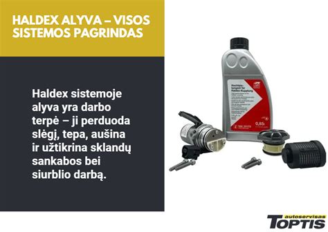 Sumažinta infografika: VFR800 techninės priežiūros grafikas (alyva, vožtuvai, aušinimo sistema)