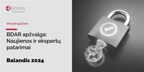 Infografika: BDAR pažeidimų tipai ir jiems tenkanti baudų dalis