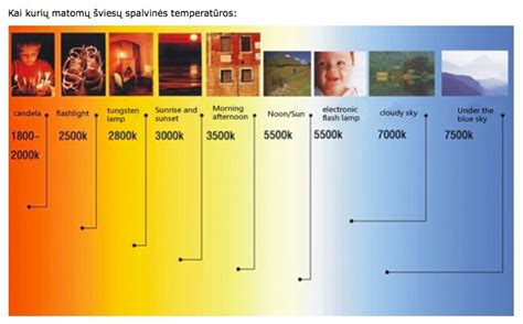 Sulyginamoji schema: halogeninių, ksenoninių ir LED žibintų šviesos srauto intensyvumas bei spalvinė temperatūra
