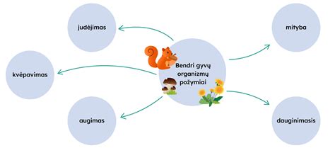 Schema: Bendri ridos klastojimo požymiai ir patikros etapai