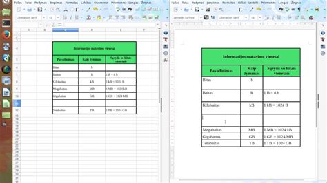 Palyginamoji lentelė: bokštiniai ir portaliniai kranai