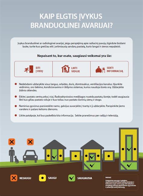 infografika su žingsniais, kaip elgtis įvykus eismo įvykiui