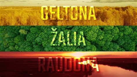 Paprastų įspėjamųjų simbolių infografika: raudona, geltona, žalia, mėlyna