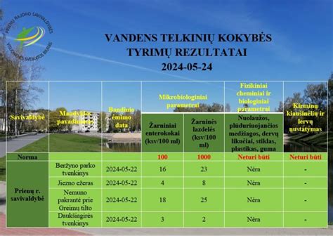 Infografika: automobilių prekės ženklų vertės ir kokybės tyrimų rezultatai