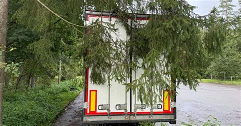 Vilkikas su kontrabandinėmis cigaretėmis slėptuvėje