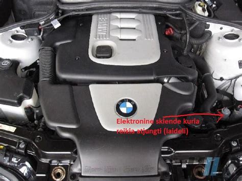 BMW E46 variklio skyriaus vaizdas su pažymėtu EGR vožtuvu