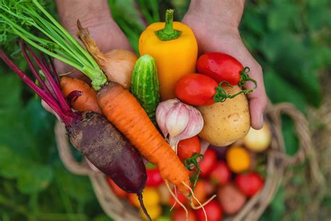 Infografika: pesticidų šalinimo nuo vaisių ir daržovių procesas naudojant sodos tirpalą