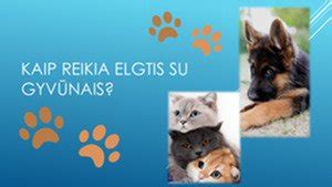 Sąrašas su patarimais: kaip elgtis jaučiant nuovargį kelyje (langų atidarymas, poilsio pertraukos, mityba)